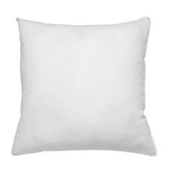 Coussin intérieur blanc...