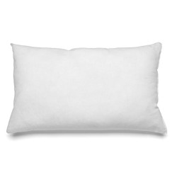 Coussin intérieur blanc...