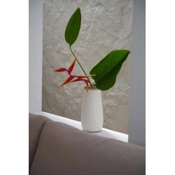 Le Vase Sournois - Blanc Naturel - M