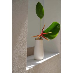 Le Vase Sournois - Blanc Naturel - L