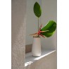 Le Vase Sournois - Blanc Naturel - L